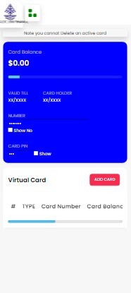 Virtual Cards 